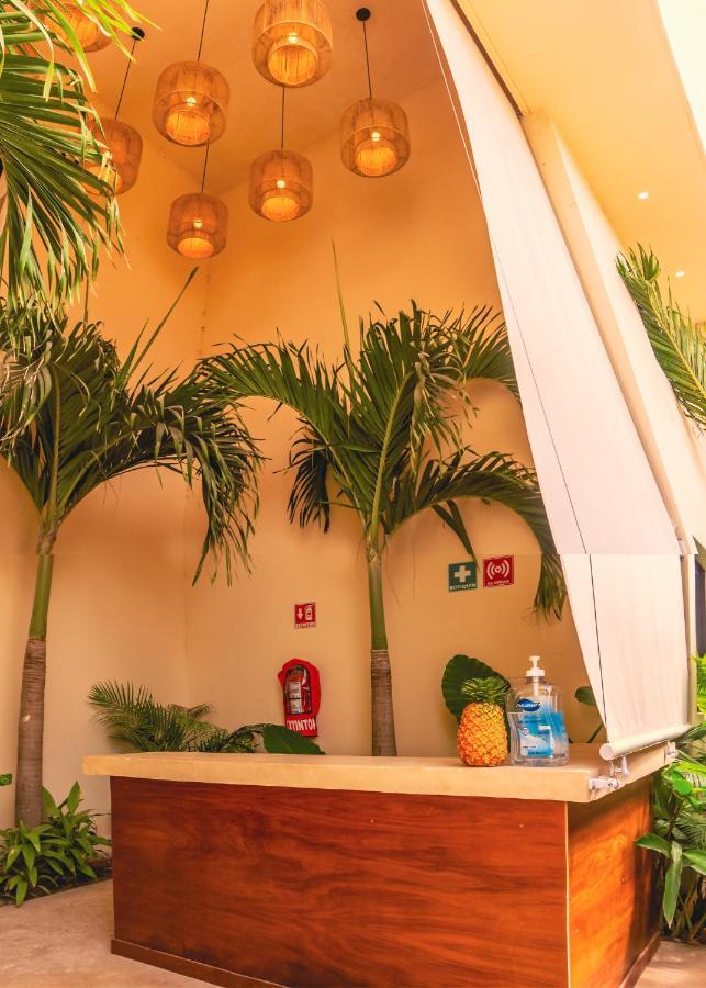 Mayanah バカラル エクステリア 写真