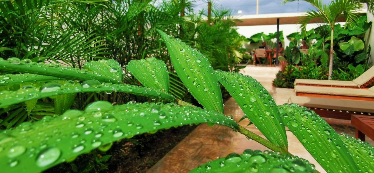 Mayanah バカラル エクステリア 写真
